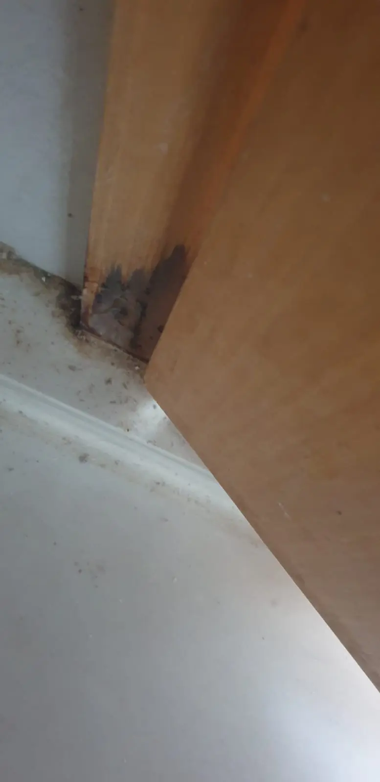 Door frame repair completed by EasyMoveOut handyman in Singapore